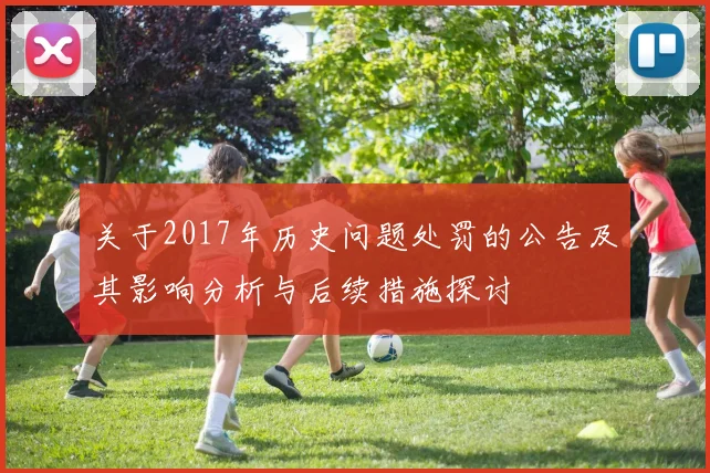 关于2017年历史问题处罚的公告及其影响分析与后续措施探讨
